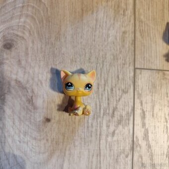 LPS kočička