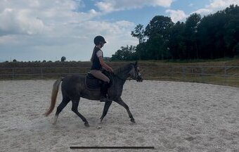 Veľmi mila Pony kobylka