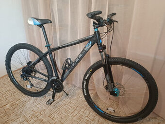 Bulls Bushtail xc