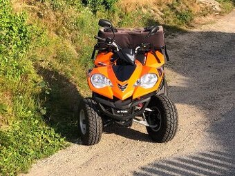 Čtyřkolka E-ton Vector 300