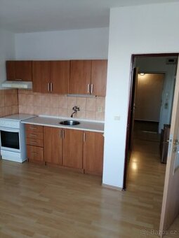 Pronájem 1+1(41,5m2) PA, Palackého třída