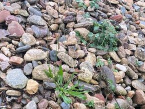 Kámen na malování