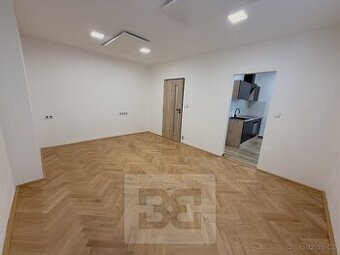 Pronájem bytu 2+kk 51 m², Brandýs nad Labem-Stará Boleslav