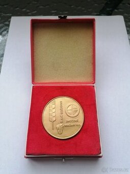 Pamětní medaile