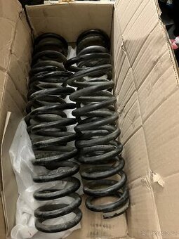 Mercedes 190 - W201 - pružiny