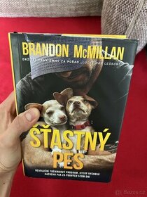 Šťastný pes - Brandon McMillan