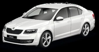 TAXI pronájem, řidiče i na brigádu - 1