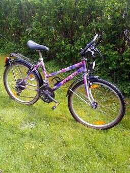 Frera 24"