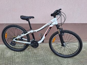 kolo Specialized 24"