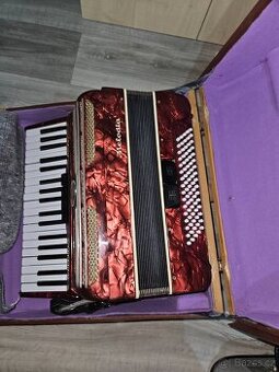 akordeon melodia