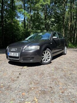 Audi A3 8PA