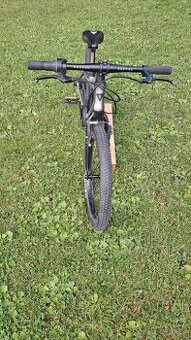 Rascal 20"