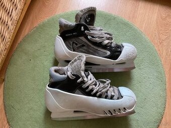 Brankářské brusle