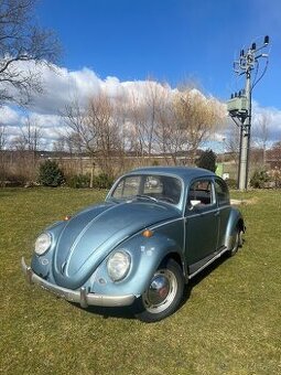 VW brouk 1957 deluxe