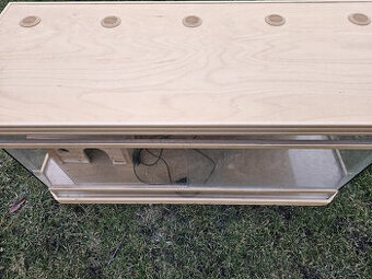 Terarium