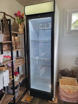 Chladící vitrína Tefcold CEV 425, PC: 16 500 Kč