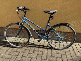 Author Ultima 24"