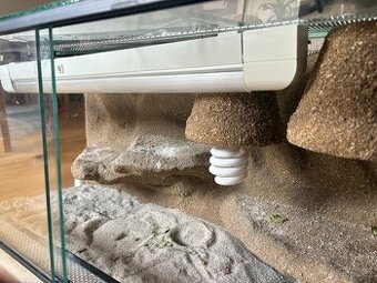 Terarium