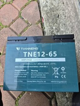 Baterky AGM 65 AH12V