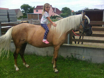 Pronájem pony