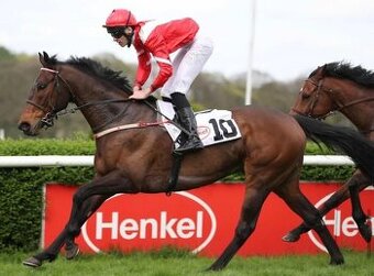 Prodám Valacha A1/1