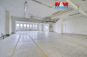 Pronájem obchod a služby, 200 m², Plzeň, ul. Skupova