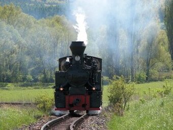Prodej dvou pozemků v obci Bohušov (okr. Bruntál)