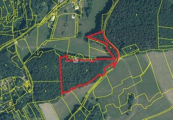 Lesní pozemky k.ú. Růžďka