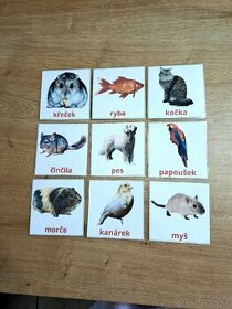 Obrázkové karty "Domácí zvířata"