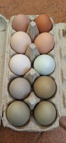 Barevná vajíčka