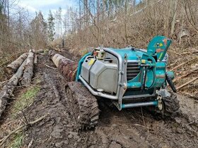 Železný kůň  Pfanzelt Moritz Fr50