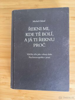 Řekni mi, kde tě bolí, a já ti řeknu proč - Michel Odoul