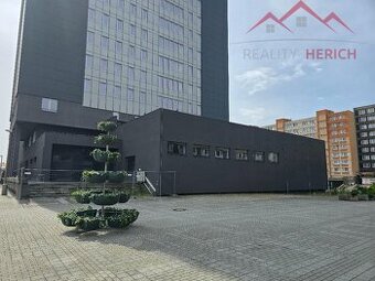 Pronájem bytu 2+kk, rekonstrukce, 50 m2, Žižkovo náměstí - A