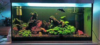Akvarium 200l