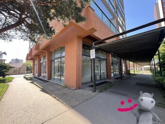 Prodej obchodní prostory, 218 m2 - Kralupy nad Vltavou - Lob