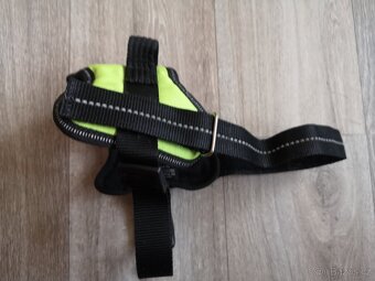 Popruh, ohlávka pro malého psa. K9