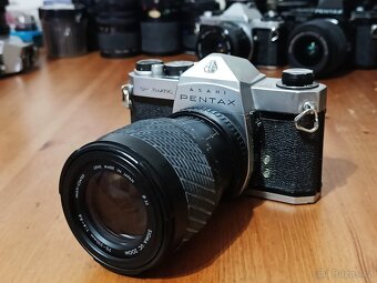 ASAHI PENTAX Spotmatic SP (Sigma 70-210mm) - 1964