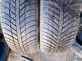235/55/17 103v Nexen - celoroční pneu 2ks