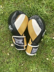 Boxerské rukavice FIGHTING - 1
