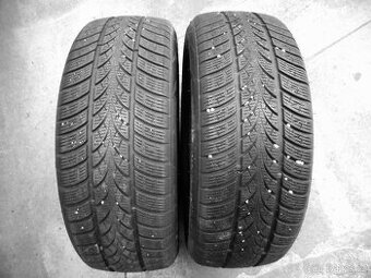 205/55R17 95V XL