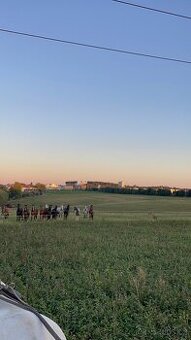HŘÍBÁRNA NA EDENU