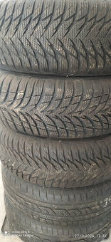 Focus  zimní pneu