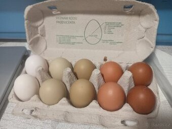 Domácí vajíčka