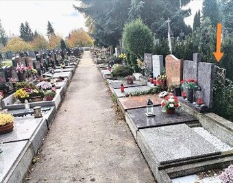 Urnové místo přenechám Brno-Řečkovice