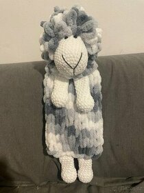 Pyžamožrout ovečka