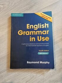 English Grammar in USE