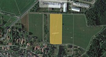 Prodej pole v k.ú. Runářov - 1
