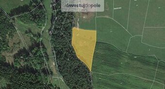 Prodej pole v k.ú. Holkovice