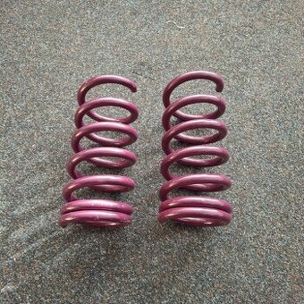 Závodní přední pružiny - Lada / VFTS