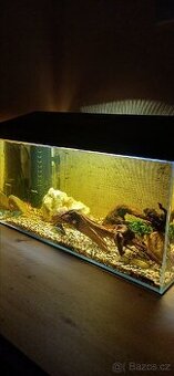 Zařízené akvárium - 1